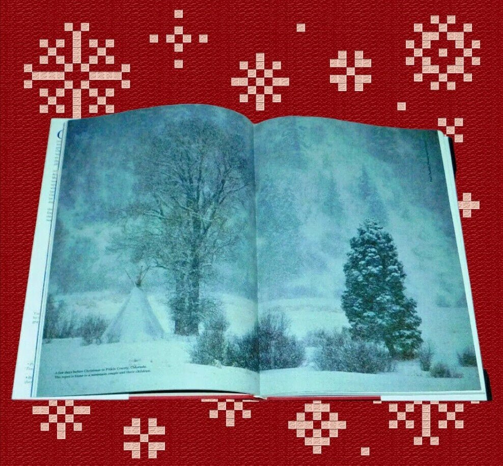 Christmas in America Images of the Holiday Season Coffee Table Book (Hardcover) ~ 208 Pages - Timeless Treasures Emporium1