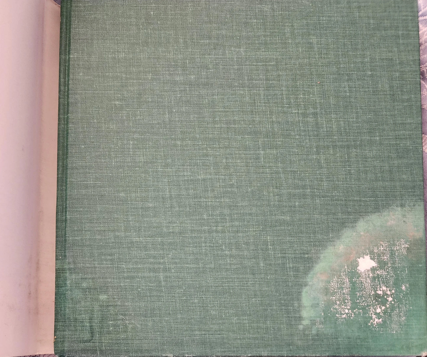 Antique Roses for the South by PhD Welch, William C, Dr.: Used Good (Hardcover) 1990 - Timeless Treasures Emporium1