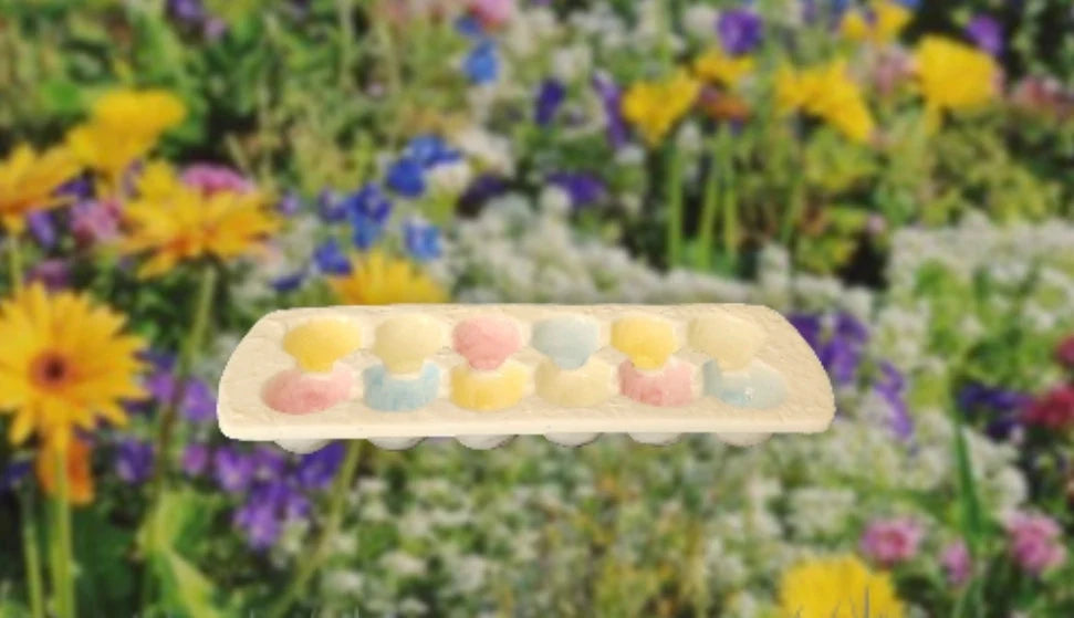 Pretty Vintage Rainbow Gracie Ceramic Easter Egg Carton Coloring Dish, Porcelain Easter Eggs Coloring Tray/Crate - for One Dozen (12) Eggs