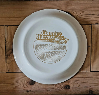 Vintage Country Harvest Deep Dish Cheesecake Pie Recipe Plate ~ Perfectly Imperfect ~ 11"