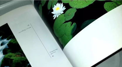Gunflint Territory Steinke, Jay Hardcover Collectible - SIGNED By JAY STEINKE ~ 1998 - Timeless Treasures  Emporium1